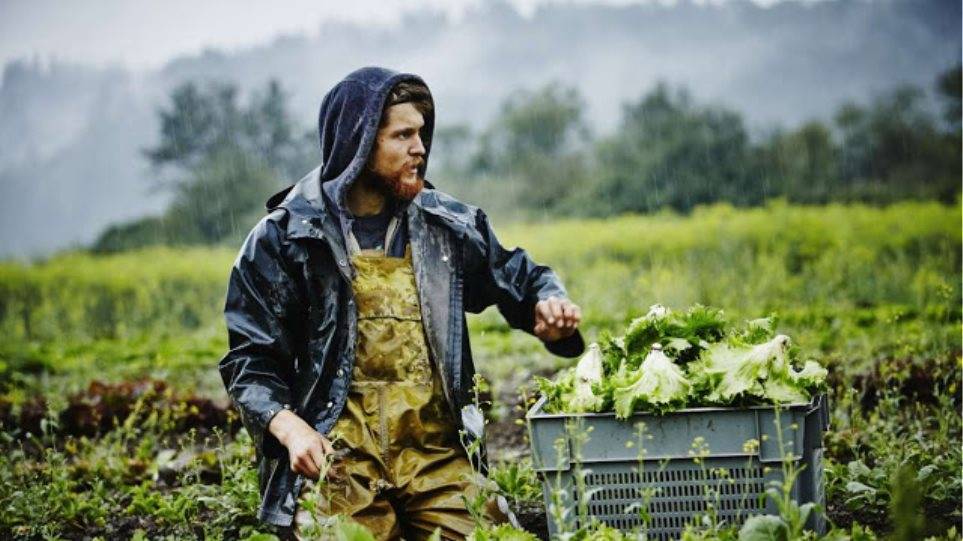  Προγράμματα νέων αγροτών με 7ετή διάρκεια και διπλάσιο του κατώτατου μισθού προτείνει η EΟΚΕ